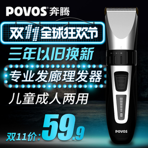 Povos/奔腾 PW231