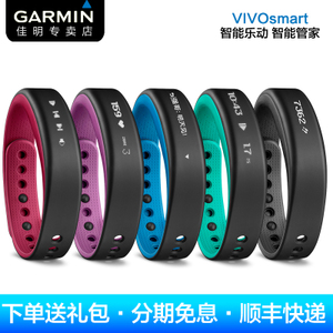 Garmin/佳明 vivosmart