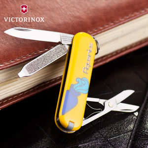 VICTORINOX/维氏 0.6223.8.AQUA