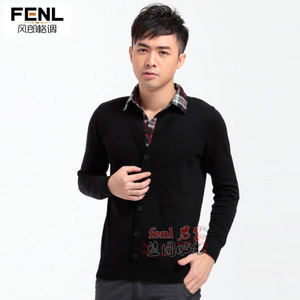 FENL 0619