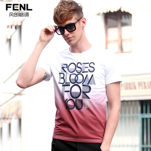 FENL DY182013