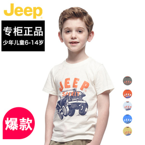 JEEP/吉普 JYV32399