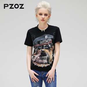 Pzoz H6217