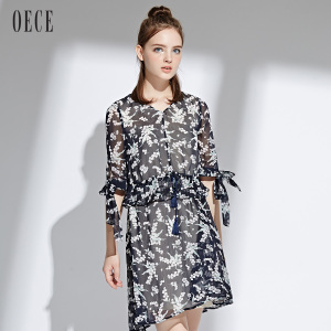 Oece 163FS075