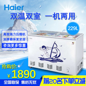 Haier/海尔 SCD-229E