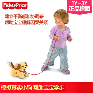 FISHER-PRICE/费雪 20358