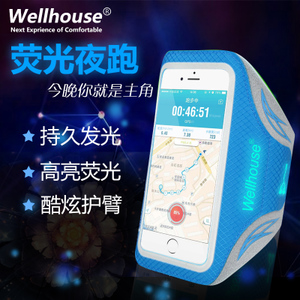 Wellhouse WH-06052
