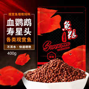 西龙 400G