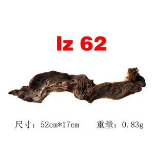 LZ-62