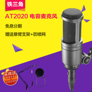 Audio Technica/铁三角 at2020-BK