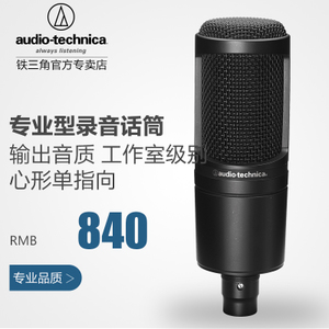 Audio Technica/铁三角 at2020-BK