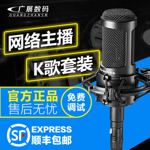 Audio Technica/铁三角 at2020-BK