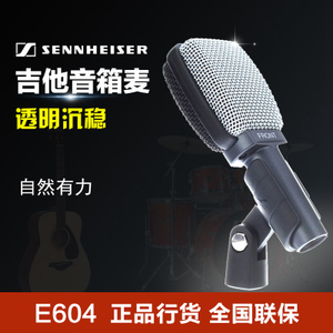 SENNHEISER/森海塞尔 E609