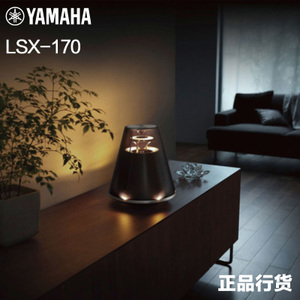 Yamaha/雅马哈 LSX-170