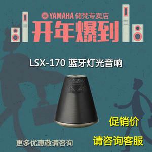 Yamaha/雅马哈 LSX-170