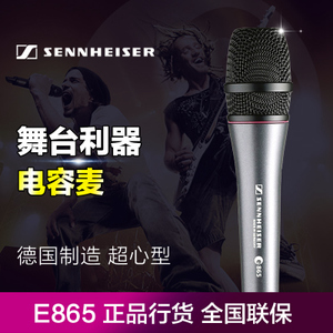 SENNHEISER/森海塞尔 E865