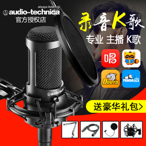 Audio Technica/铁三角 AT2035