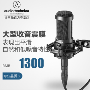 Audio Technica/铁三角 AT2035