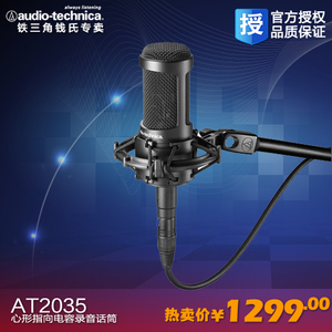 Audio Technica/铁三角 AT2035