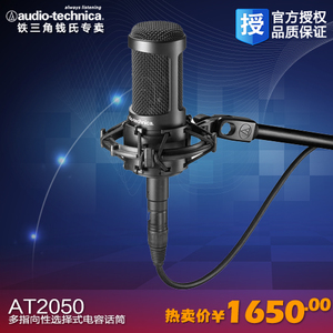 Audio Technica/铁三角 AT2050