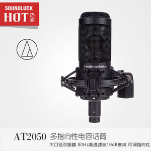 Audio Technica/铁三角 AT2050