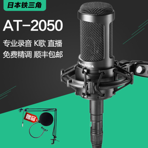 Audio Technica/铁三角 AT2050