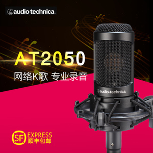 Audio Technica/铁三角 AT2050