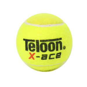 Teloon/天龙 X-ACE-48