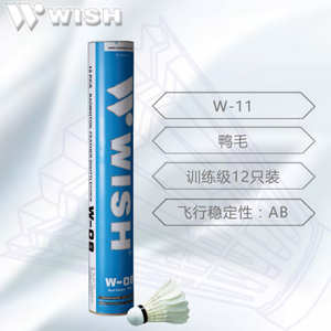 Wish/伟士 W-11
