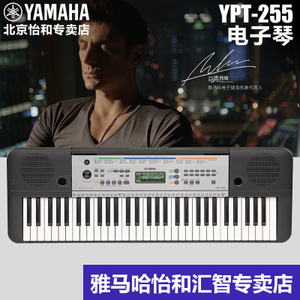 Yamaha/雅马哈 YPT-255