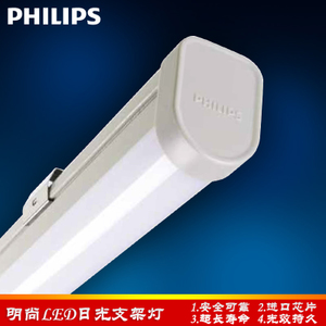 Philips/飞利浦 WT088C