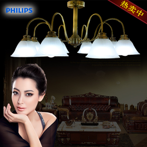 Philips/飞利浦 37713