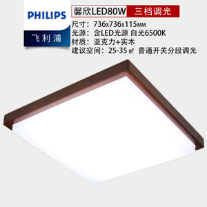 Philips/飞利浦 LED80w