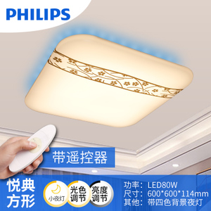 Philips/飞利浦 LED80w