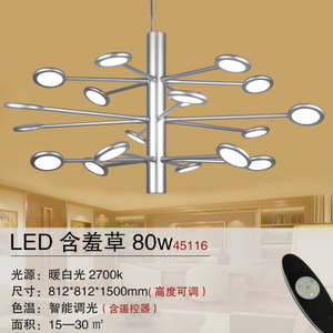 Philips/飞利浦 LED80w