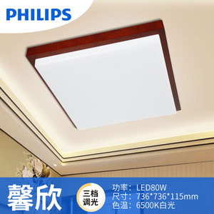 Philips/飞利浦 LED80w