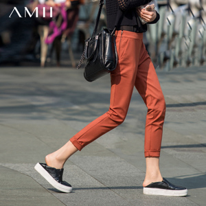 Amii 11520091