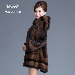 HARVENICE/哈维奈斯 HLY-3389