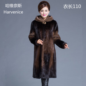 HARVENICE/哈维奈斯 HLY-3391