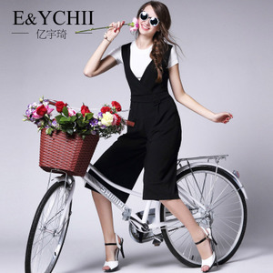 E＆YCHII EY16A215