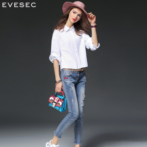 EVESEC VCY6022837