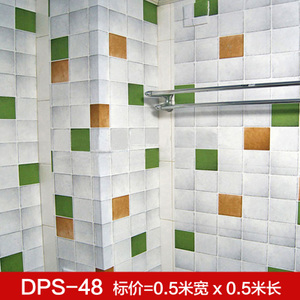 静伊 DPS-48