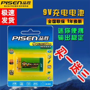 Pisen/品胜 9V-250mAh