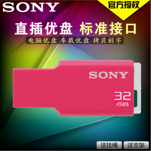Sony/索尼 USM32GM