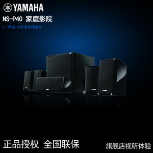 Yamaha/雅马哈 NS-P40