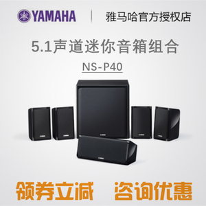 Yamaha/雅马哈 NS-P40