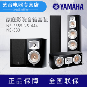 Yamaha/雅马哈 NS-555