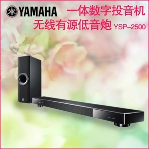 Yamaha/雅马哈 YSP-2500