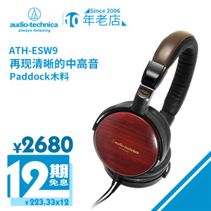 Audio Technica/铁三角 ATH-ESW9