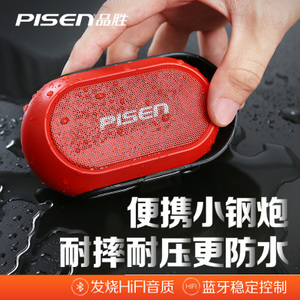 Pisen/品胜 SPK-B002